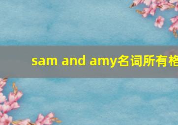 sam and amy名词所有格